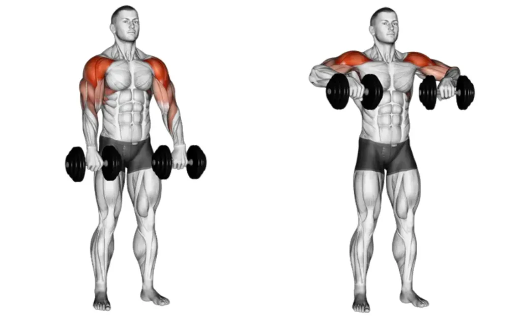 Dumbbell Upright Row