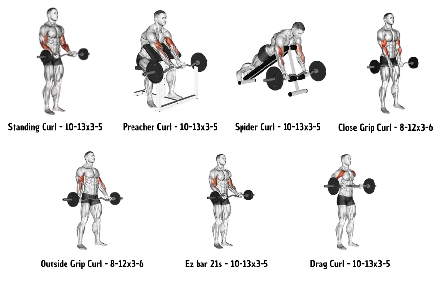 Curl Bar Exercises Daily Routine