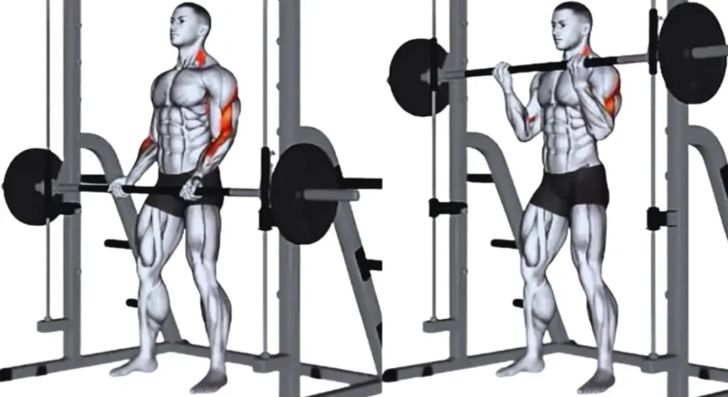 Barbell Exercises