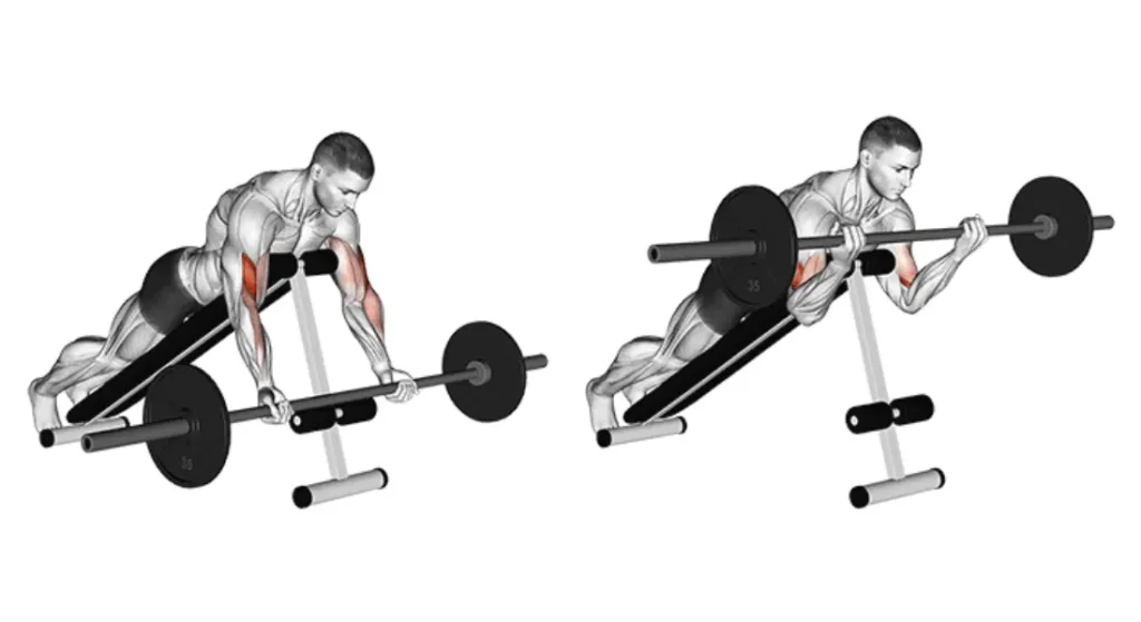 Barbell Spider Curl