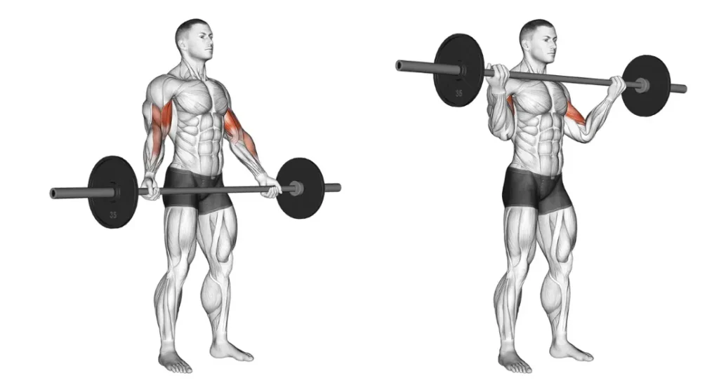 Barbell Exercises