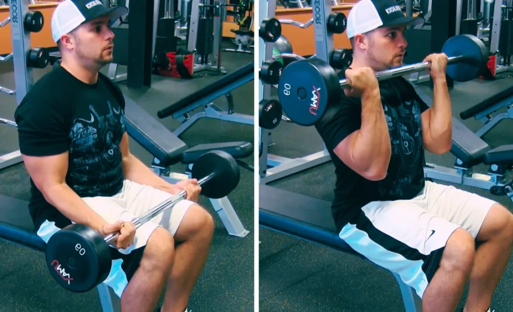 Seated Barbell Curl