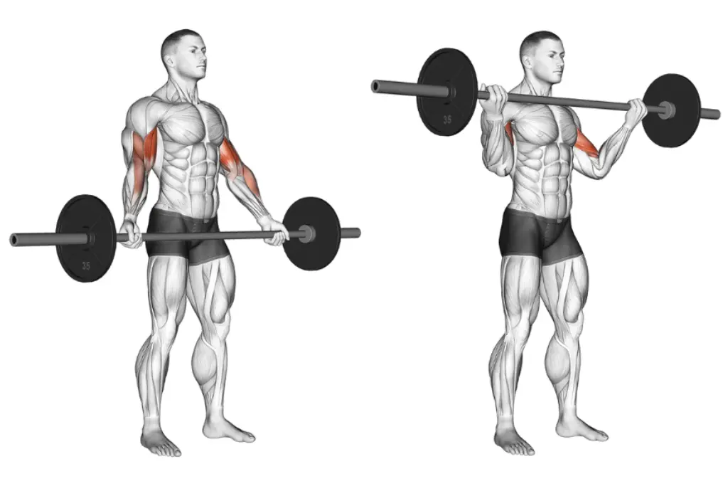 Wide Grip Barbell Curl