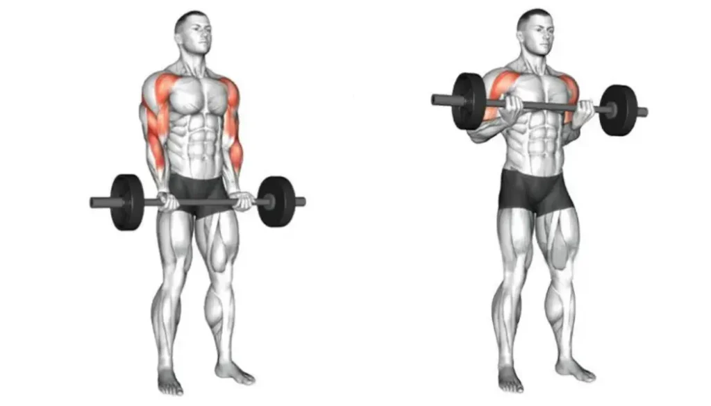 Home Barbell Workouts