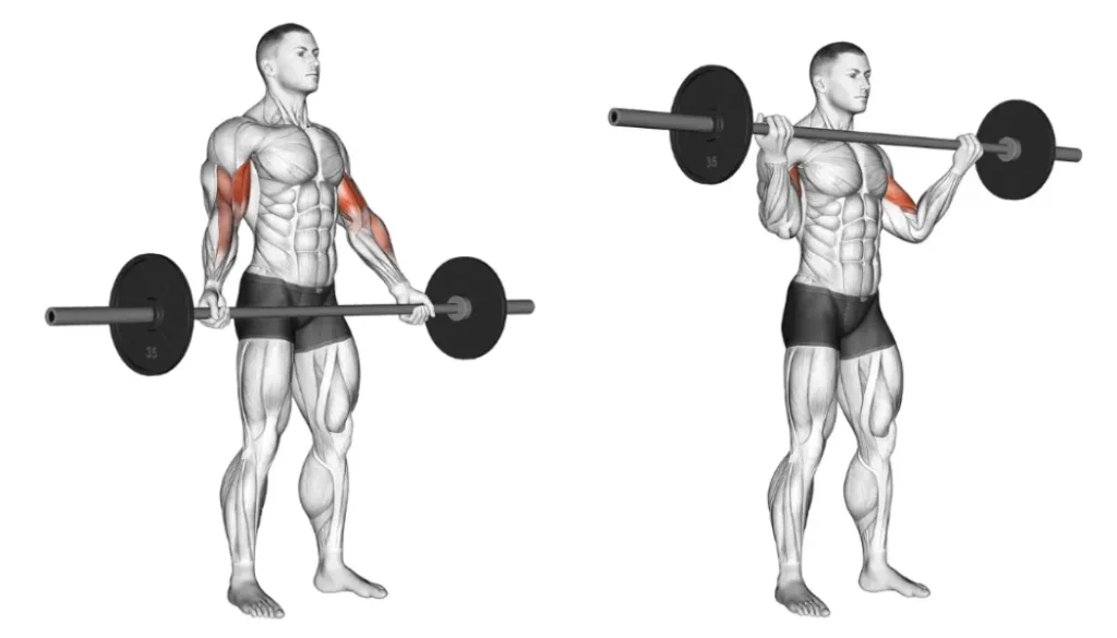 Home Barbell Workouts