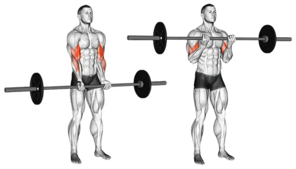 Home Barbell Workouts