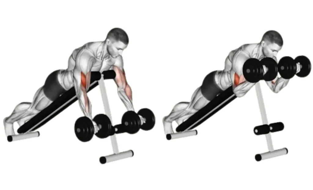 Dumbbell Spider Curl