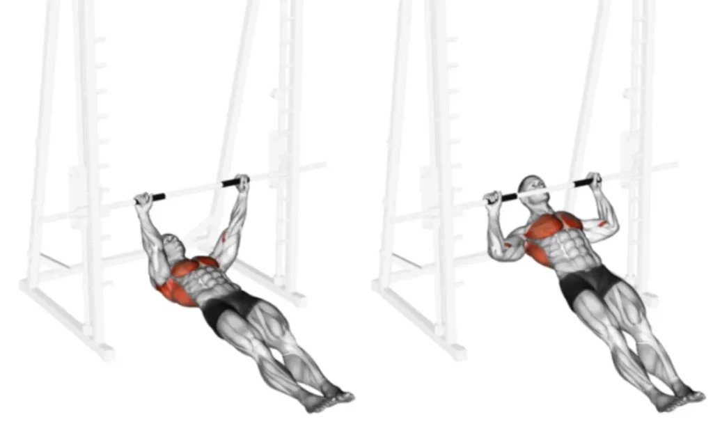 Inverted Row