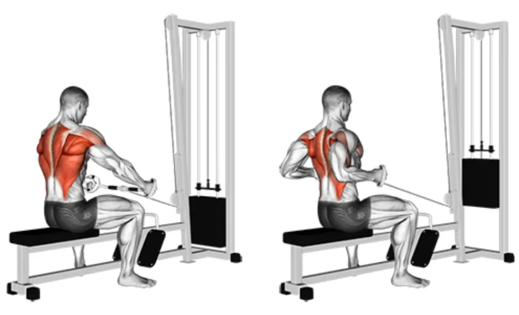 Seated Cable Row