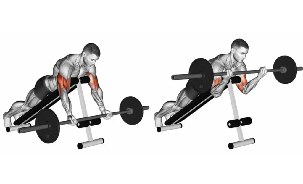 Prone Incline Barbell Curl