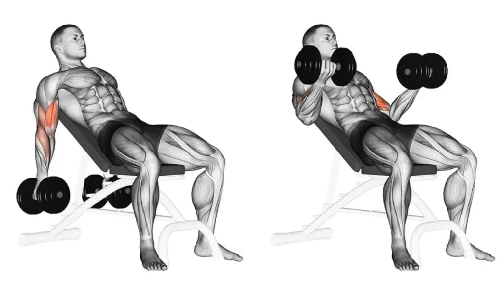 Dumbbell Incline Curl