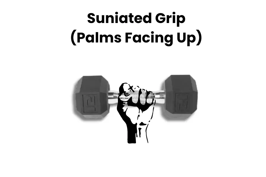 Dumbbell Drag Curl Proper Grip