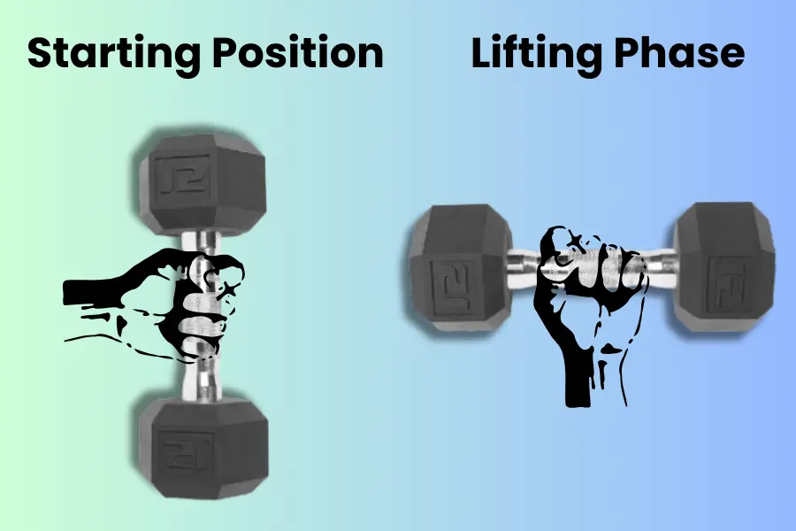 Dumbbell Curl Proper Grip