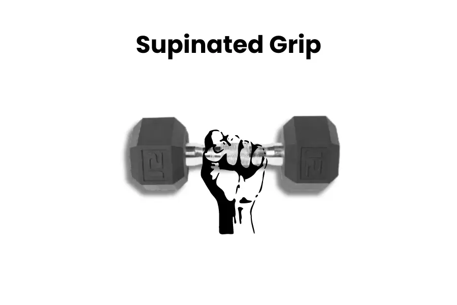 dumbbell concentration curl proper grip