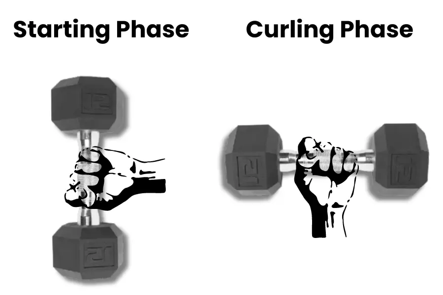 Incline Dumbbell Curl proper grip 