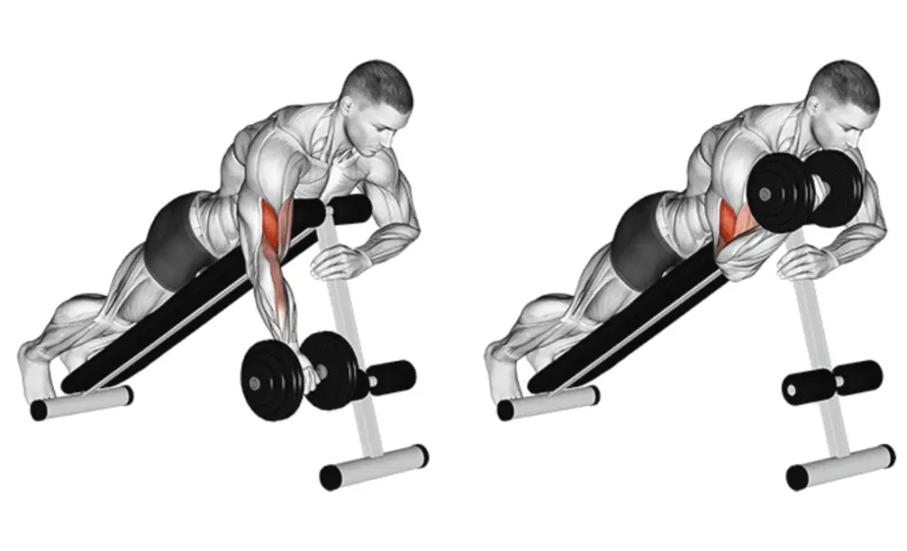 Dumbbell Spider Curl