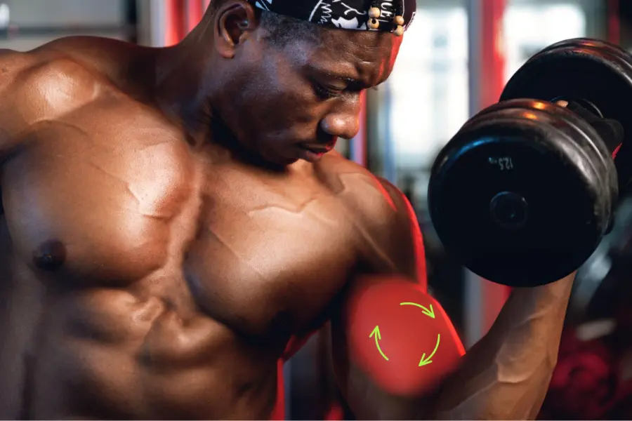 Dumbbell Spider Curl benefits