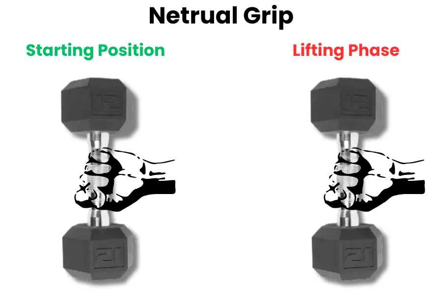 Dumbbell Hammer Curl Proper grip