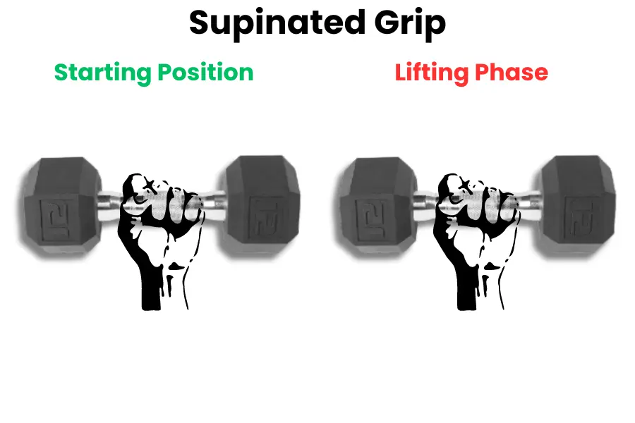 Dumbbell Preacher Curl proper grip