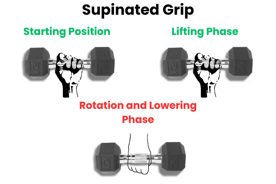 Dumbbell Zottman Curl proper grip