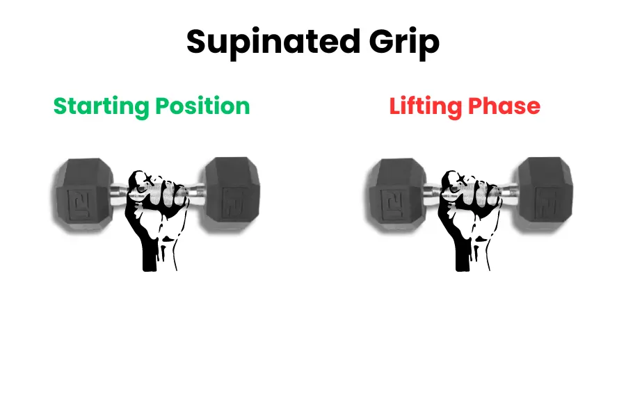 Dumbbell 21s proper grip