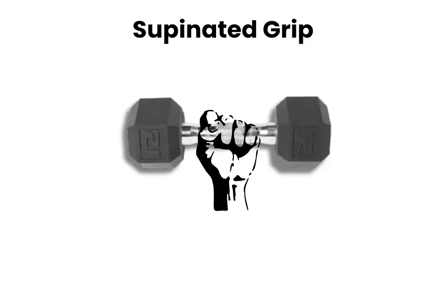 Dumbbell Spider Curl proper grip