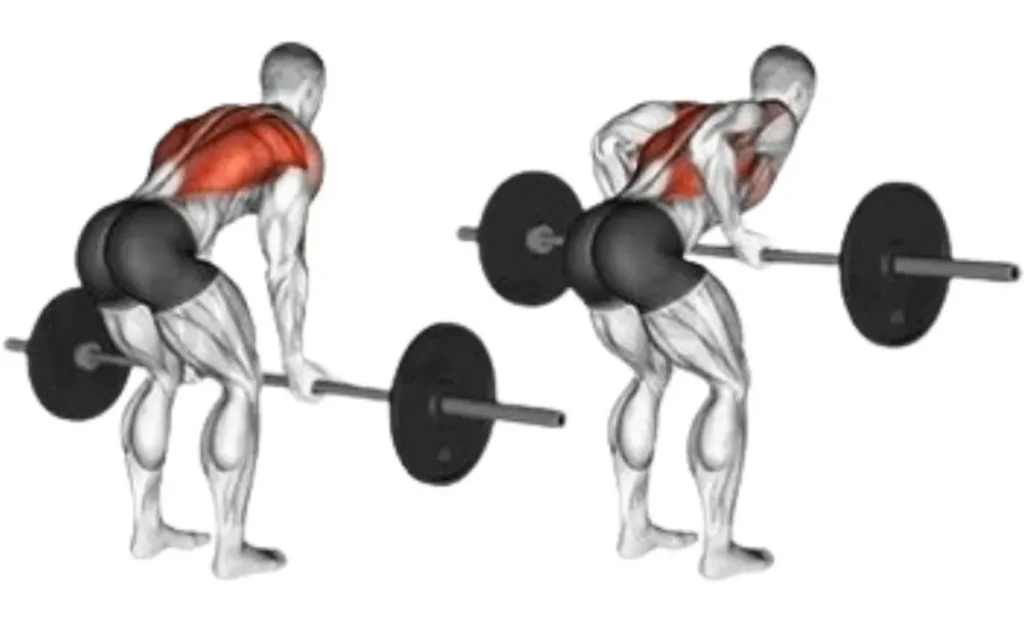 Barbell Bent Over Row