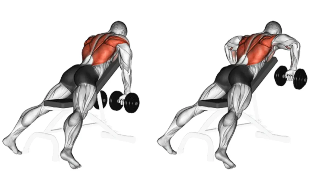 Incline Dumbbell Row