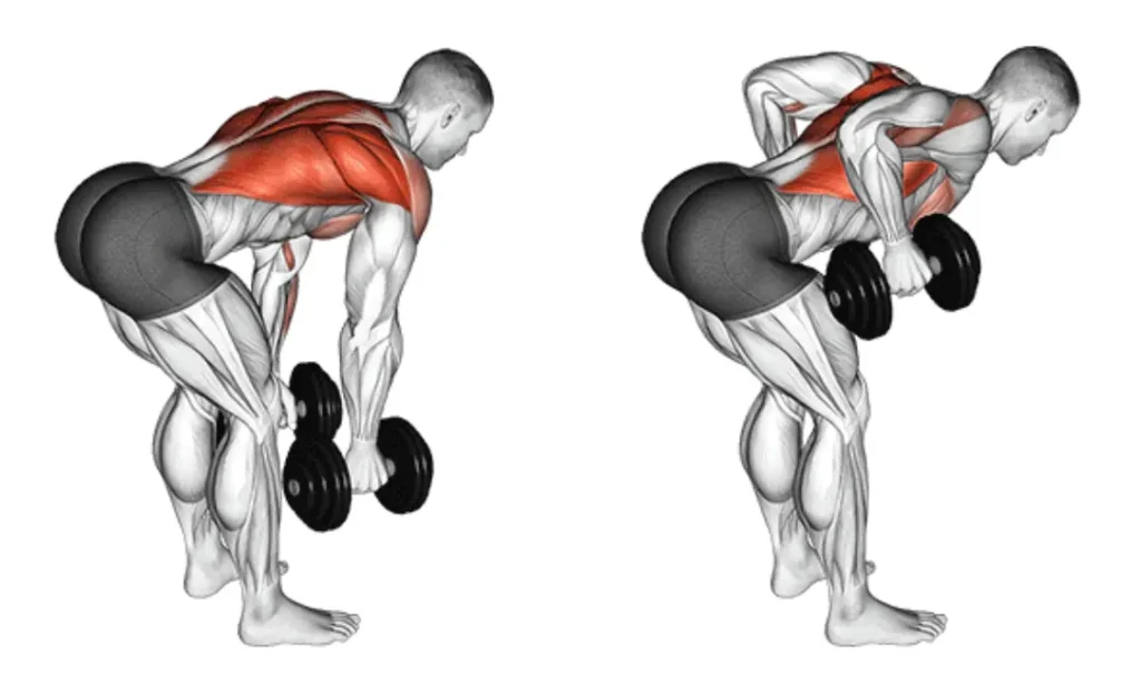 Neutral Grip Dumbbell Row