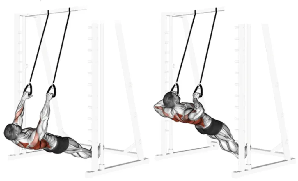 Tempo Inverted Row