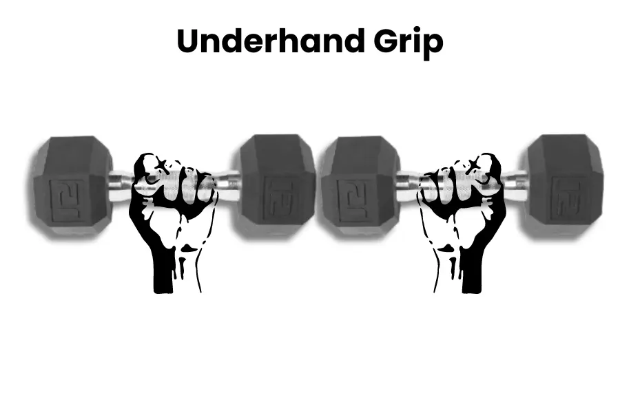 Dumbbell Close Grip Curl proper grip