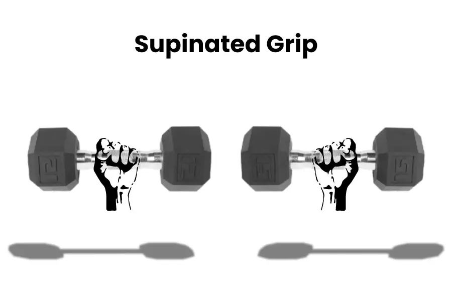 zottman preacher curl proper grip